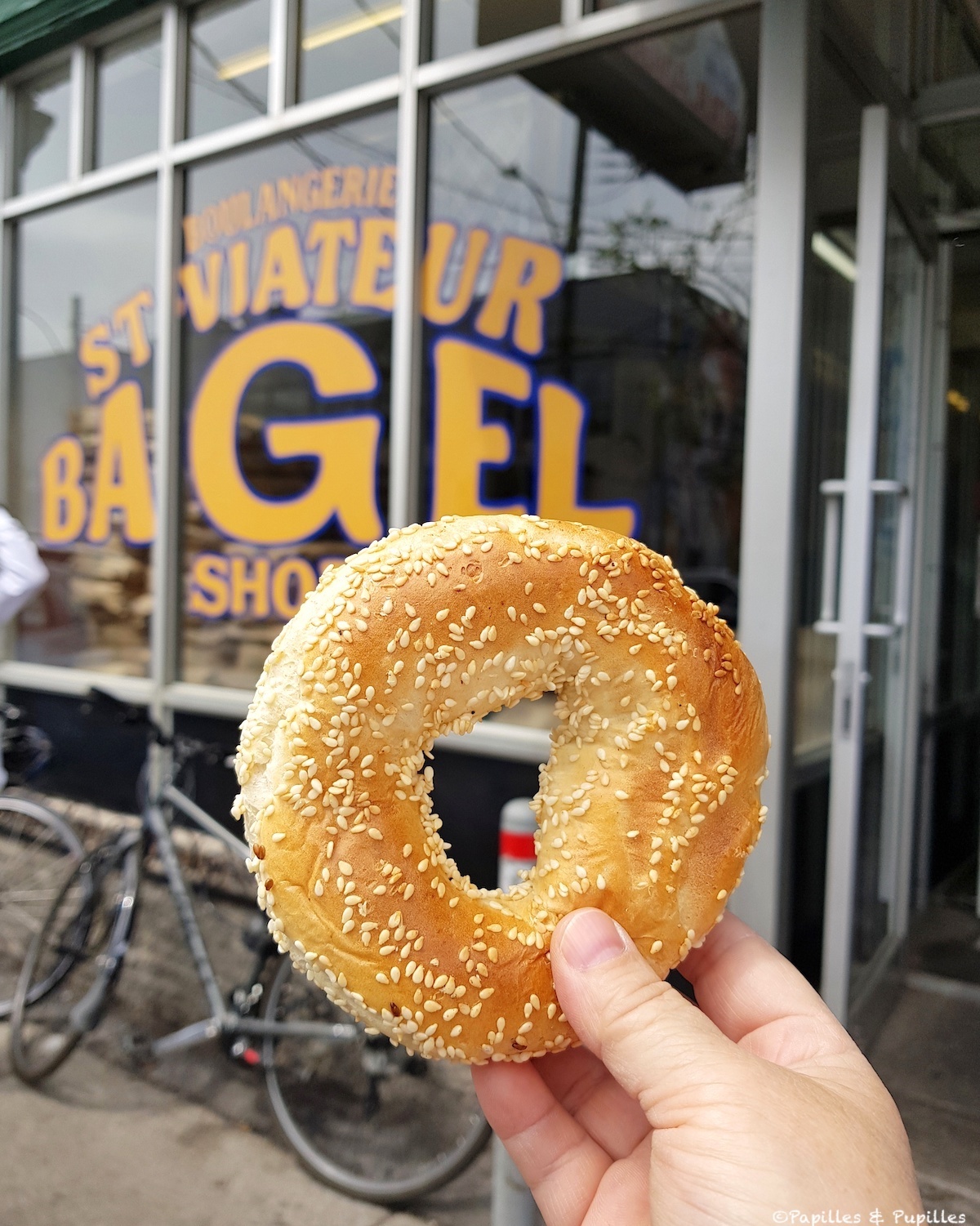 Bagel St Viateur